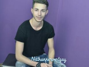Nathanpervertgay