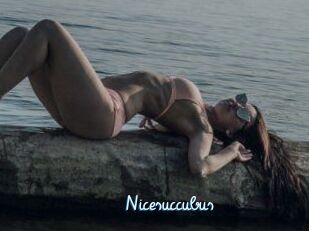 Nicesuccubus