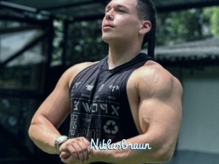 Niklasbraun