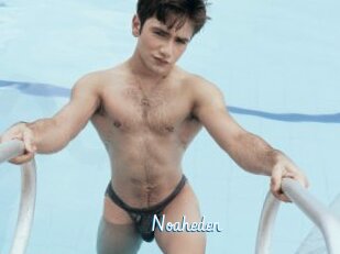 Noaheden