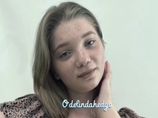 Odelindahedge