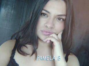 PAMELA_B