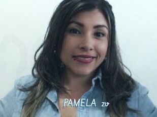 PAMELA_zv