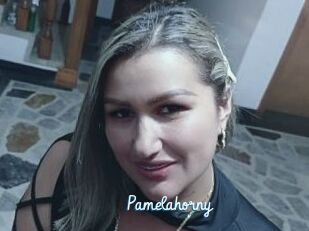 Pamelahorny