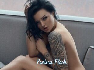 Pantera_Flash