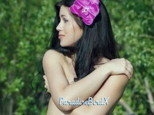 ParadiseBirdX