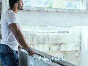 PerfectguyRobert