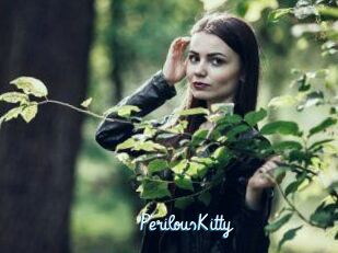 Perilous_Kitty