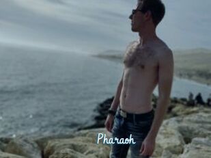 Pharaoh