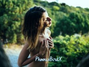 PhoenixBirdX