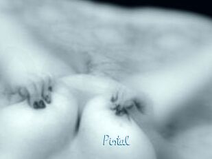 Pistal