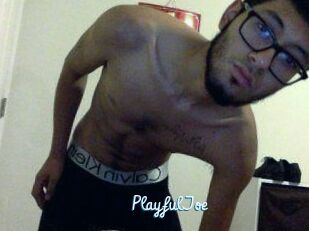 PlayfulJoe