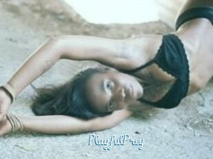 PlayfulPrey