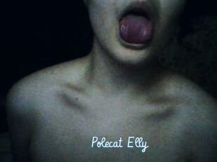 Polecat_Elly