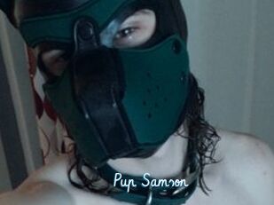 Pup_Samson
