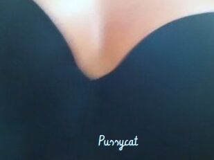 Pussycat