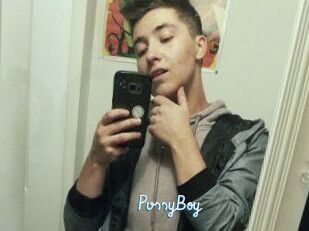 PvssyBoy