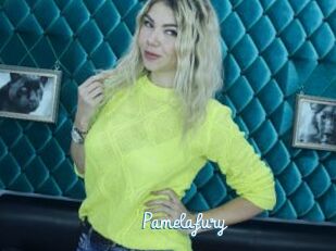 Pamelafury