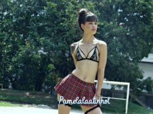 Pamelalaatinhot