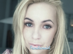 Pamelamodel