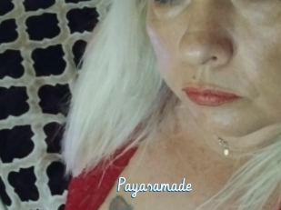 Payasamade
