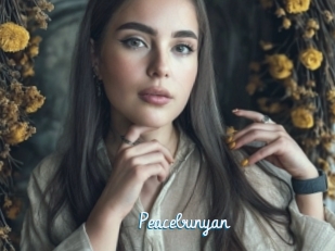 Peacebunyan