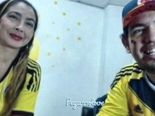 Pegasso_love