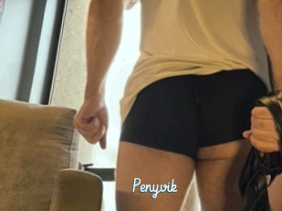 Penyvik