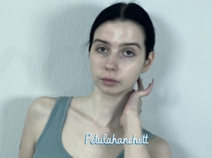 Petulahanchett