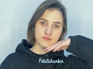Petulahankin