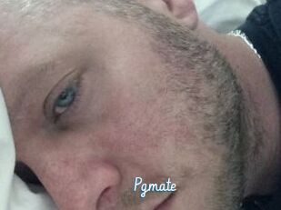 Pgmate