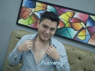 Picassoray