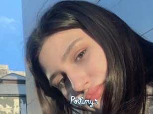 Pollimyr
