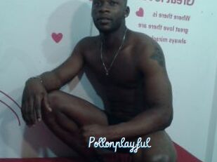 Pollonplayful
