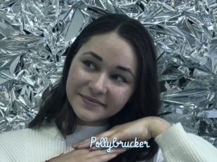 Pollybrucker