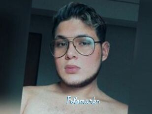 Polomarks