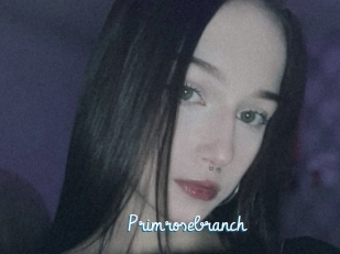 Primrosebranch