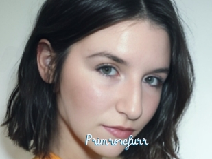 Primrosefurr