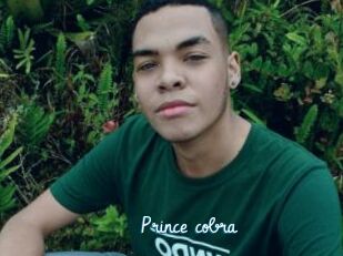 Prince_cobra