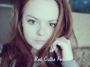 Red_Cuttie_Fox