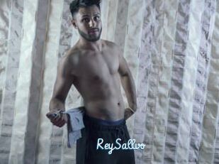 ReySallvo