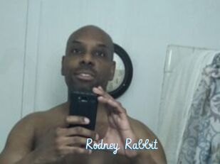 Rodney_Rabbit