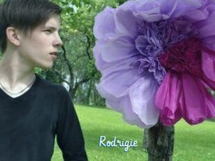 Rodrigie