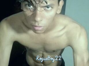 RogueBoy22
