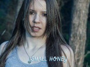 SMALL_HONEY