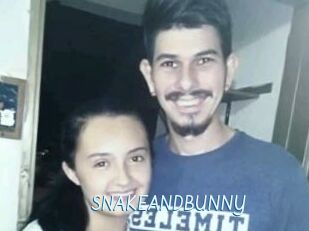SNAKEANDBUNNY