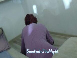 SandraInTheNight