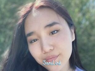SaniLink