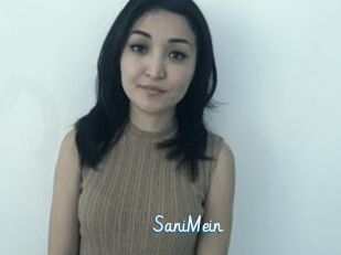 SaniMein