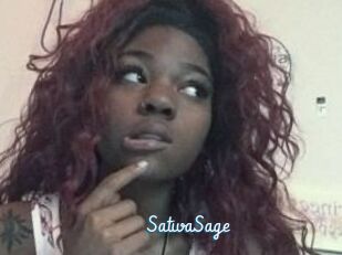 Sativa_Sage